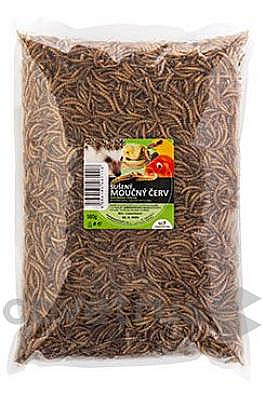 Sušený moučný červ