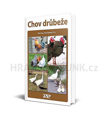 Drobnochovy - Chov drůbeže