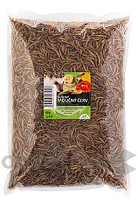 Sušený moučný červ 500 gr