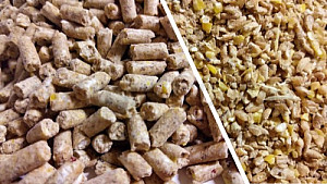 Kachny, husy výkrm 2 - sypká 10 kg - po expiraci